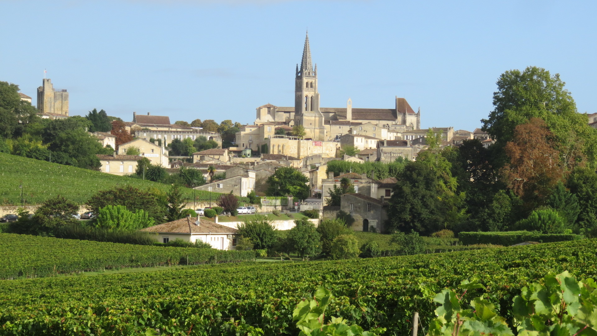 Bordeaux - Wine Establishment