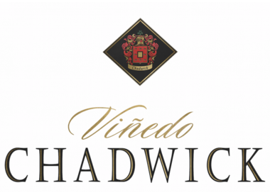 Vinedo Chadwick