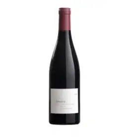 Domaine Pelle Sancerre Rouge 2019