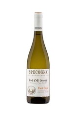 Specogna Pinot Grigio Friuli DOC 2022