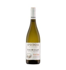 Specogna Pinot Grigio Friuli DOC 2022