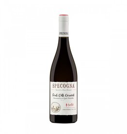 Specogna Merlot Friuli DOC 2021