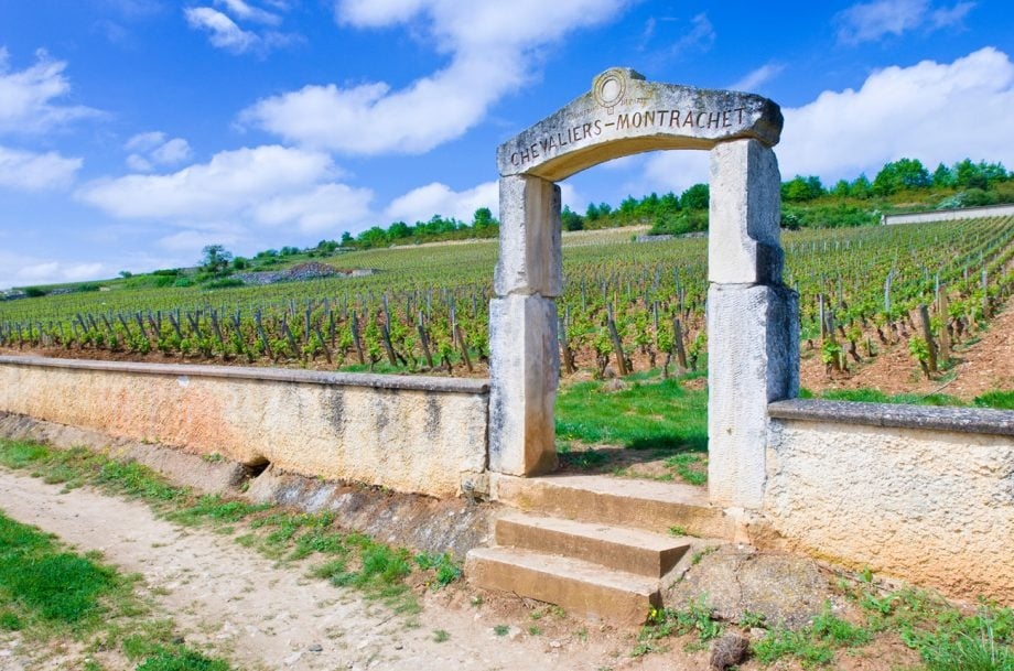 White Burgundy 