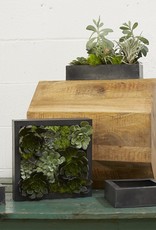 Accent Decor Carbon Box Planter 11x2.5