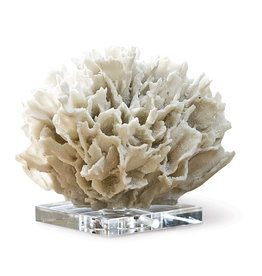 Regina Andrew Design Ribbon Coral (White)