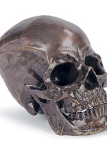 Regina Andrew Design Metal Skull (Antique Bronze)