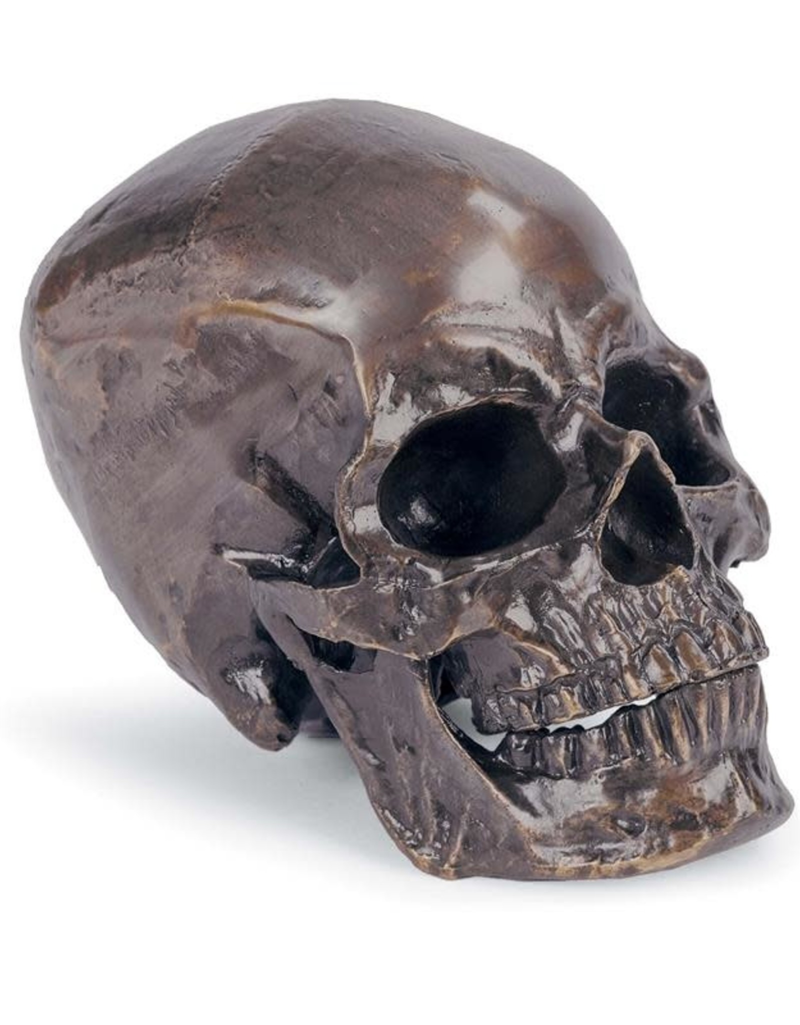 Regina Andrew Design Metal Skull (Antique Bronze)