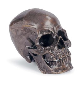 Regina Andrew Design Metal Skull (Antique Bronze)