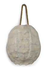 Regina Andrew Design Turtle Shell Accessory (Bleached)