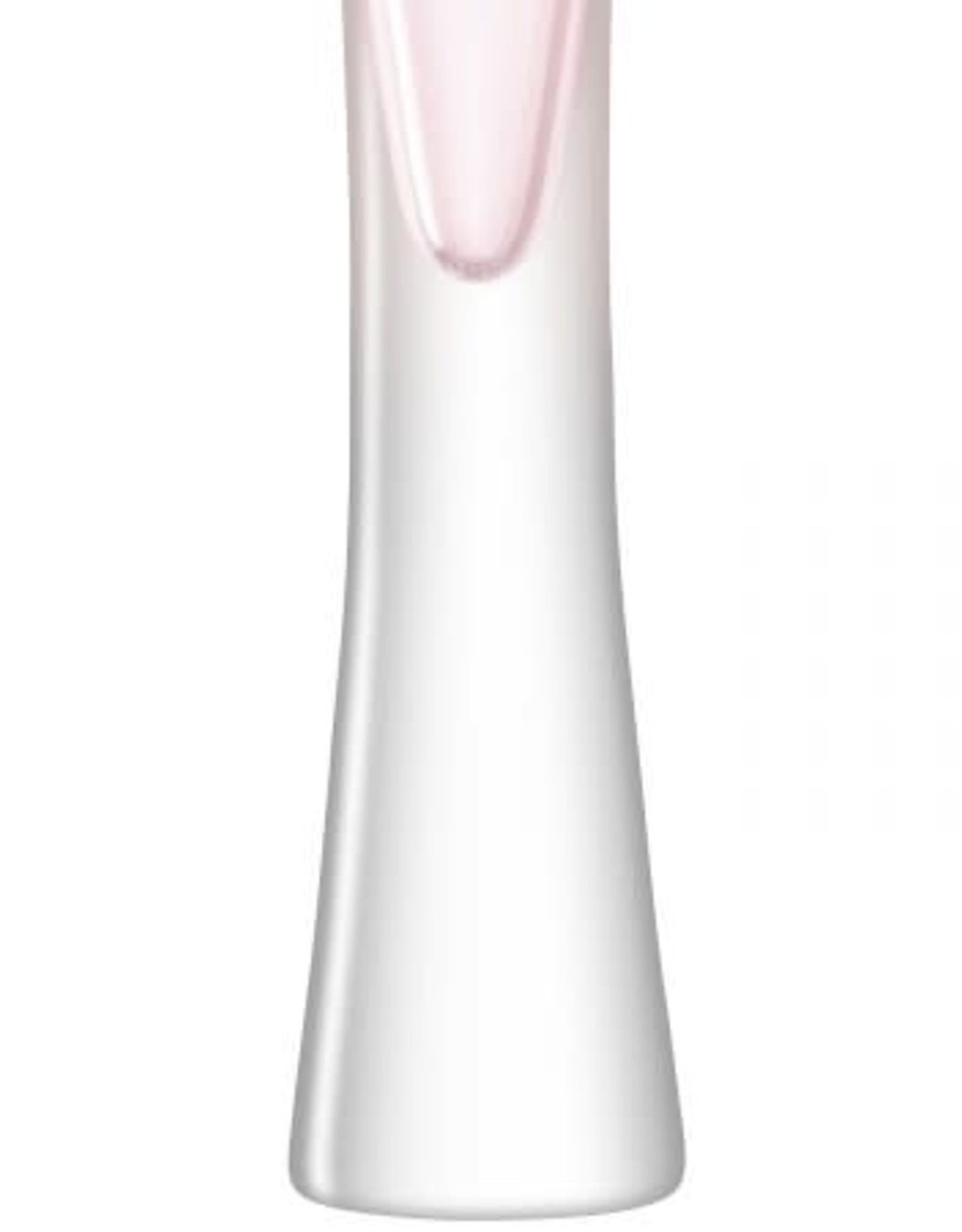 Champagne Flute x 2 6oz, Clear, Moya