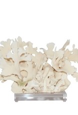 Cactus Coral - Large