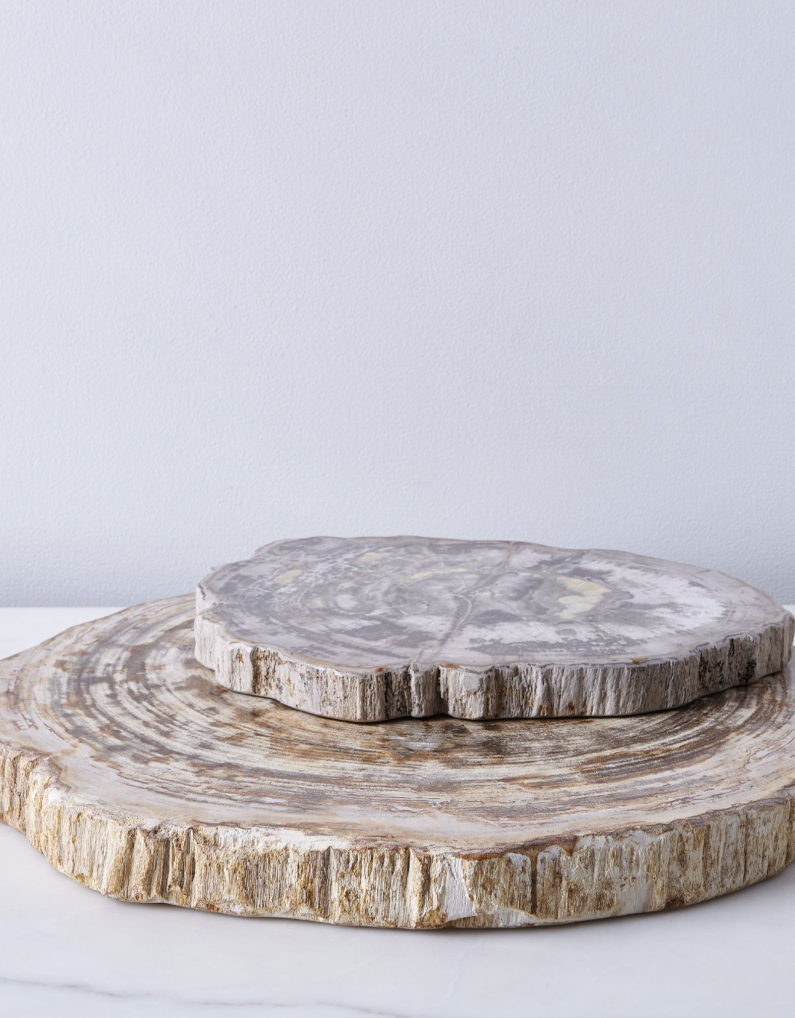 Petrified Wood Platter 14in. (36cm)