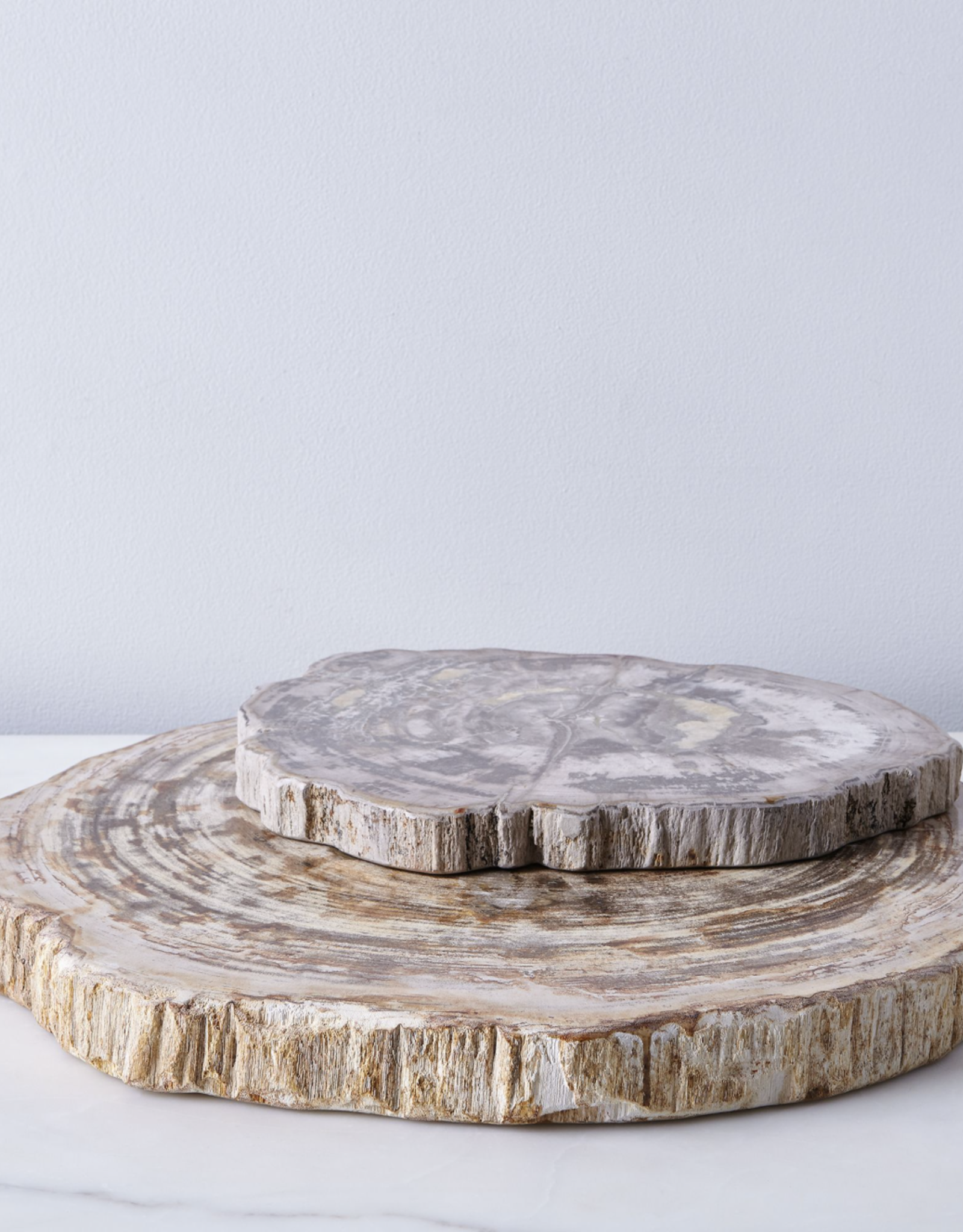 Petrified Wood Platter, 20 inch