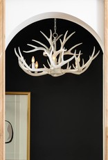 Regina Andrew Design Antler Chandelier (White)