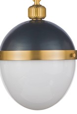 Regina Andrew Design Otis Pendant Medium (Blackened and Natural Brass)