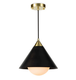 Regina Andrew Design Hilton Pendant (Blackened Brass and Natural Brass)