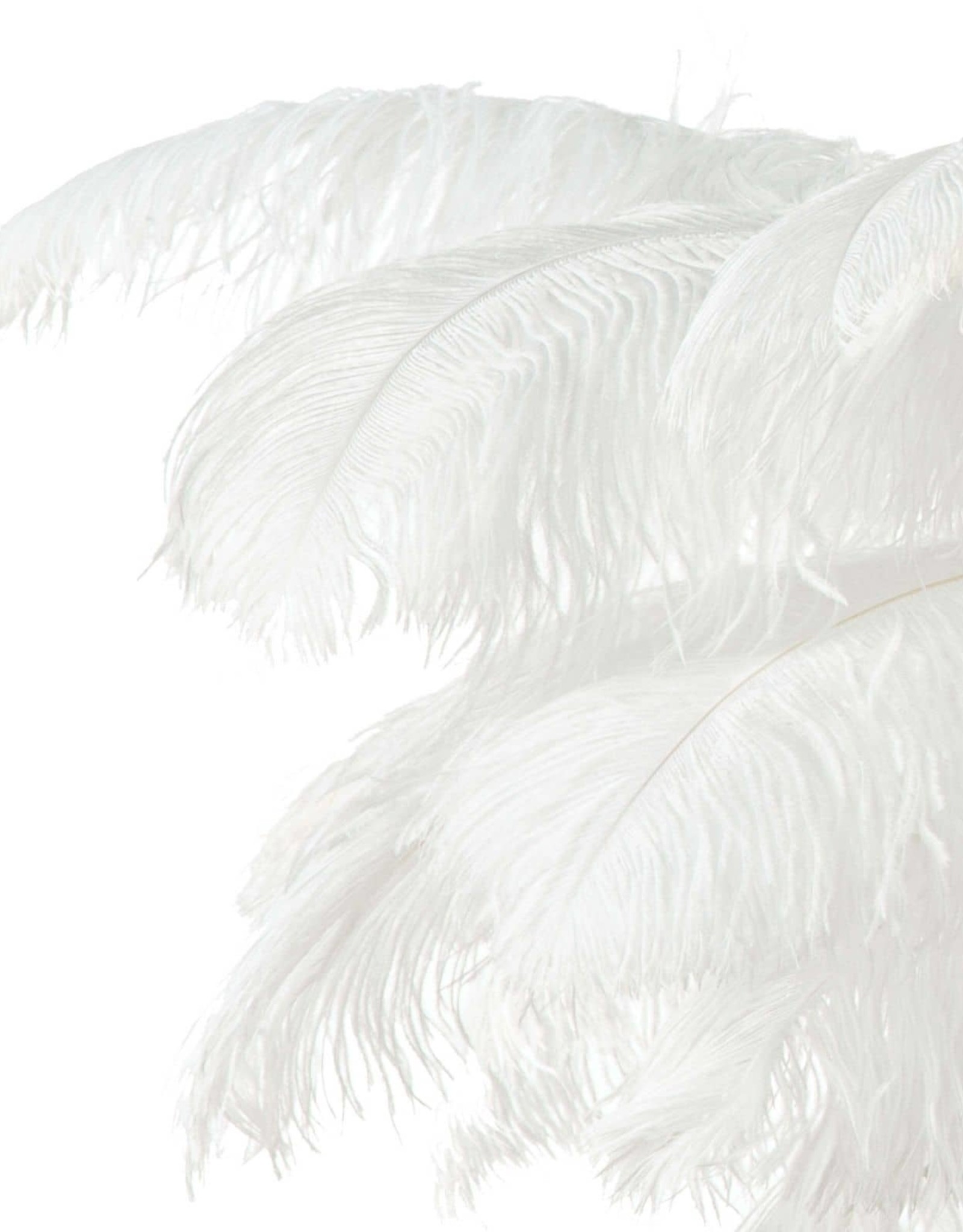 Regina Andrew Design Josephine Feather Chandelier