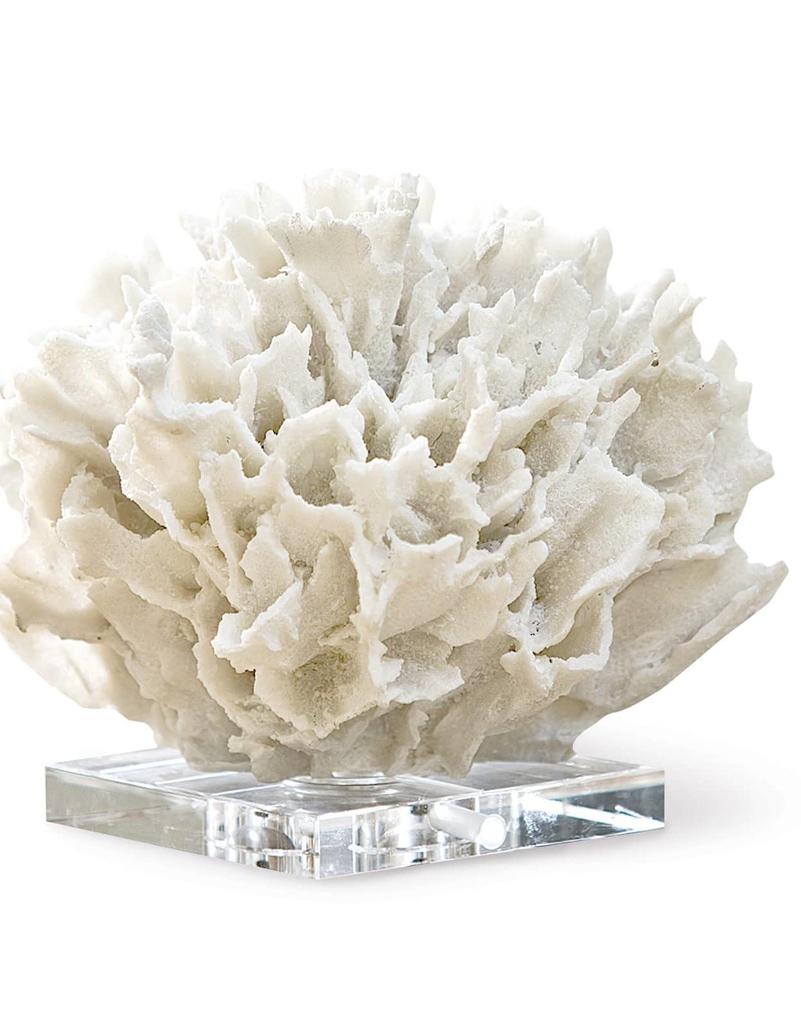 Regina Andrew Design Ribbon Coral (White)