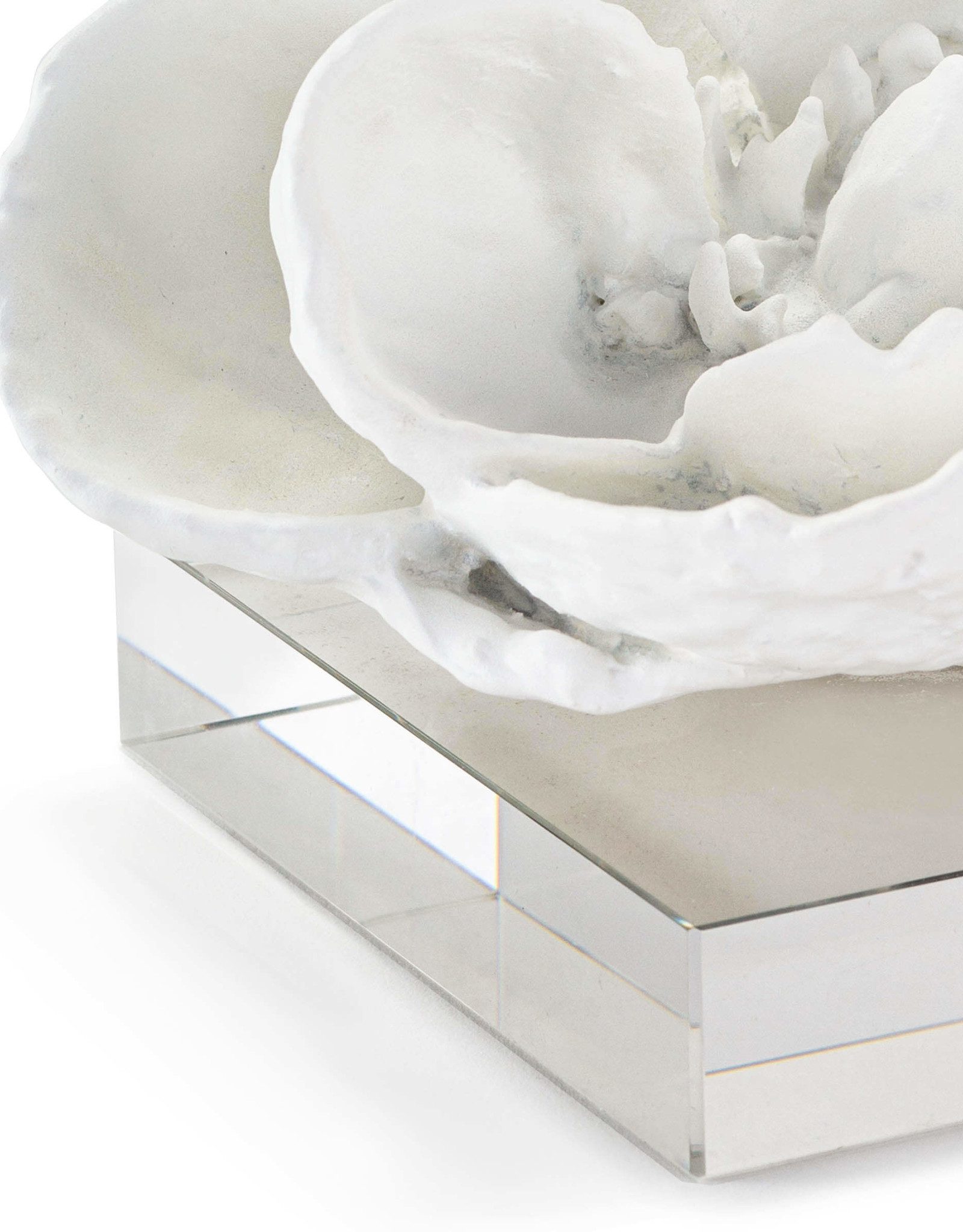 Regina Andrew Design Magnolia Objet (White)