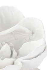 Regina Andrew Design Magnolia Objet (White)