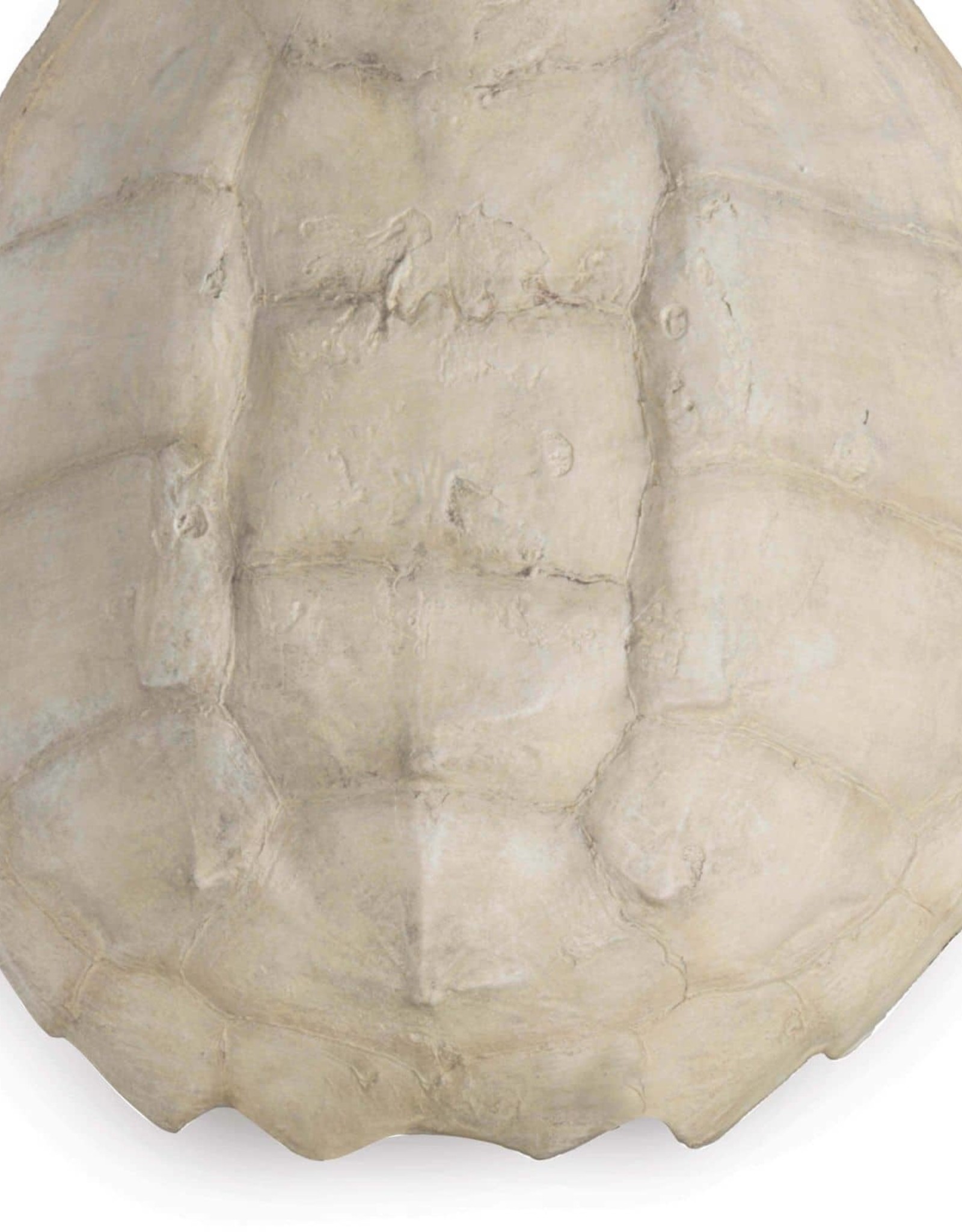 Regina Andrew Design Turtle Shell Accessory (Bleached)
