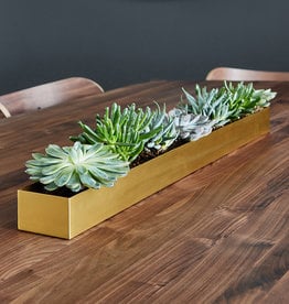 Gus* Modern Vessel Planter