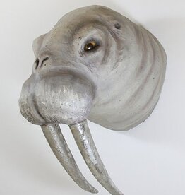 Walrus Trophy- Grey