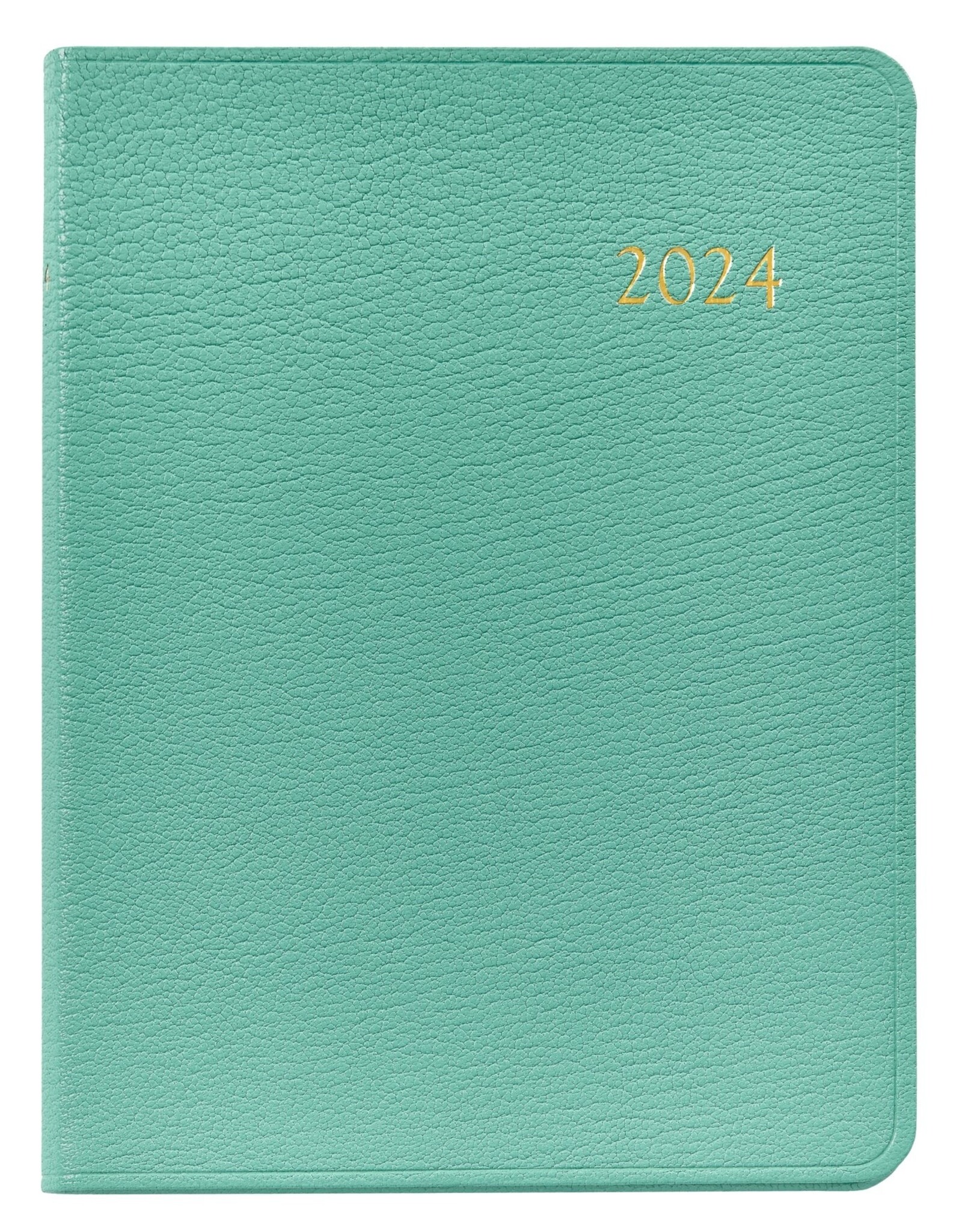 Graphic Image Desk Diary, Robin's Egg Blue Goatskin Leather