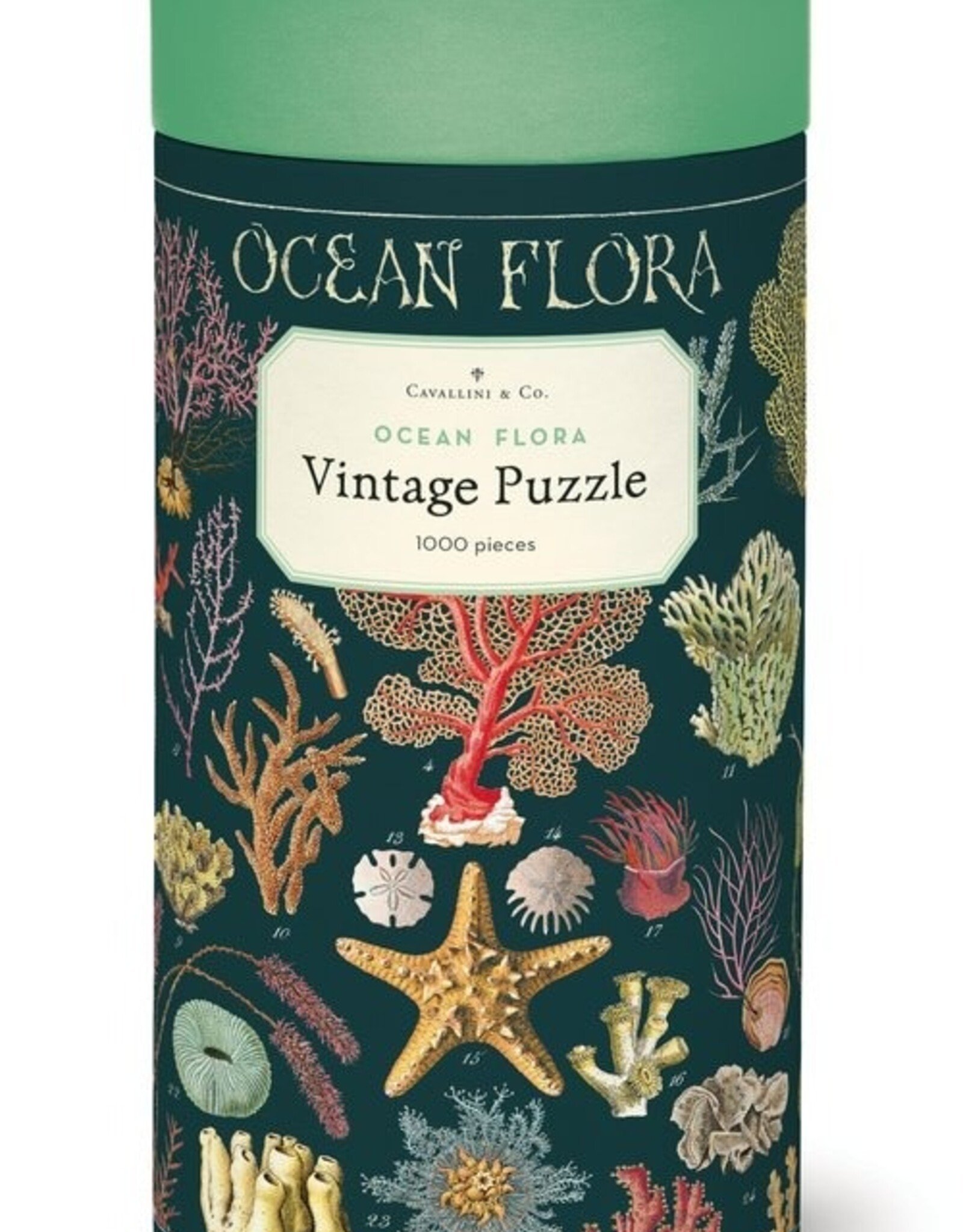 Cavallini and Co. Ocean Flora 1,000 piece Puzzle