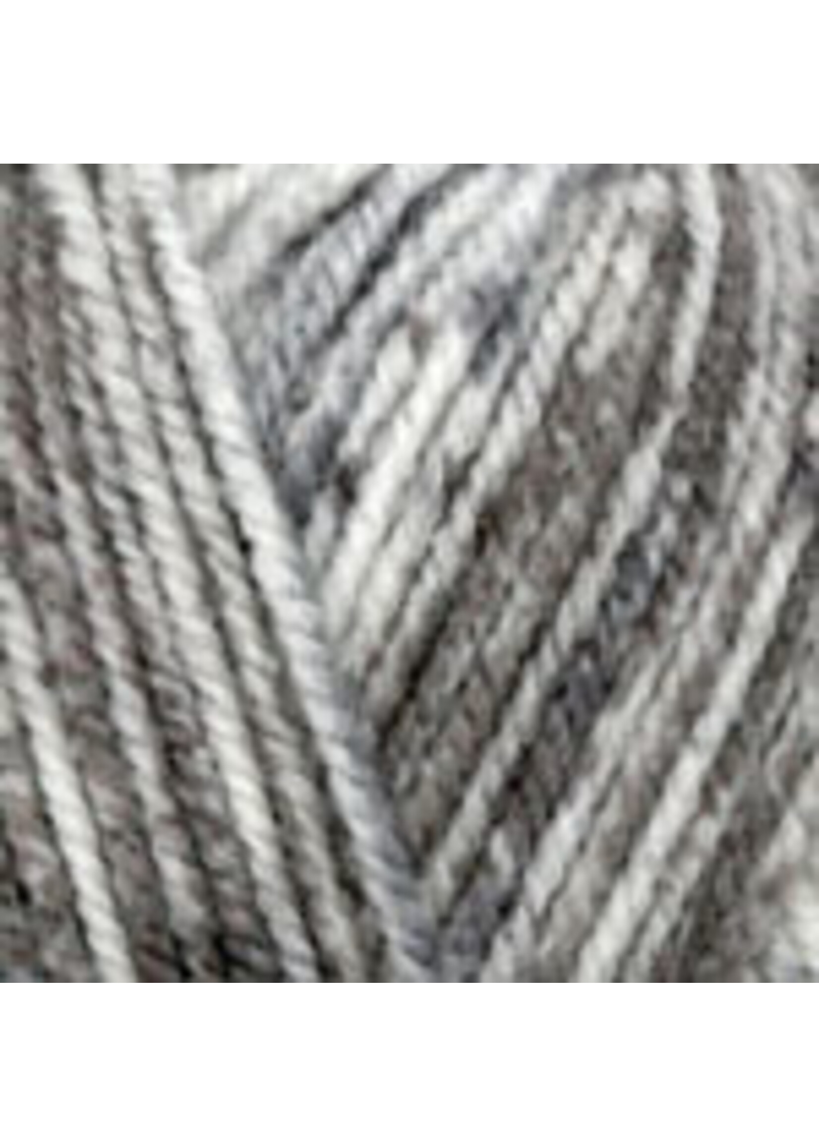 Plymouth Yarns Encore Worsted Colorspun