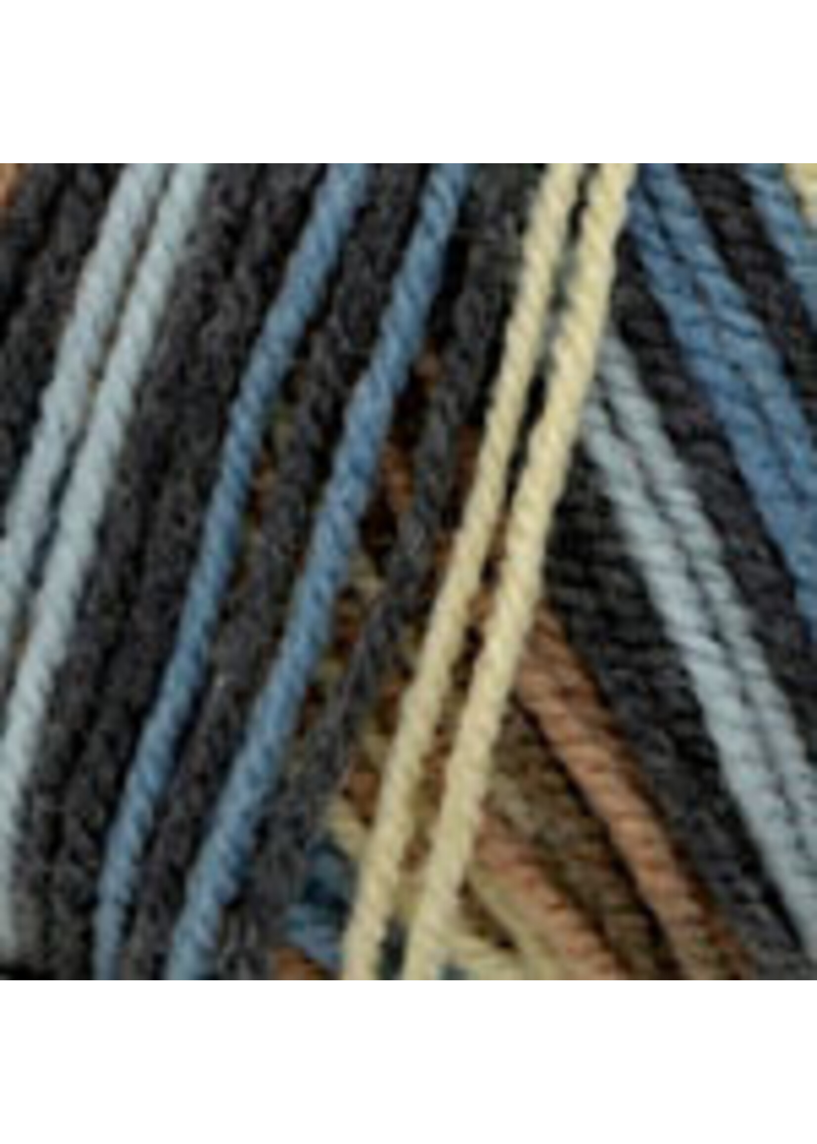 Plymouth Yarns Encore Worsted Colorspun