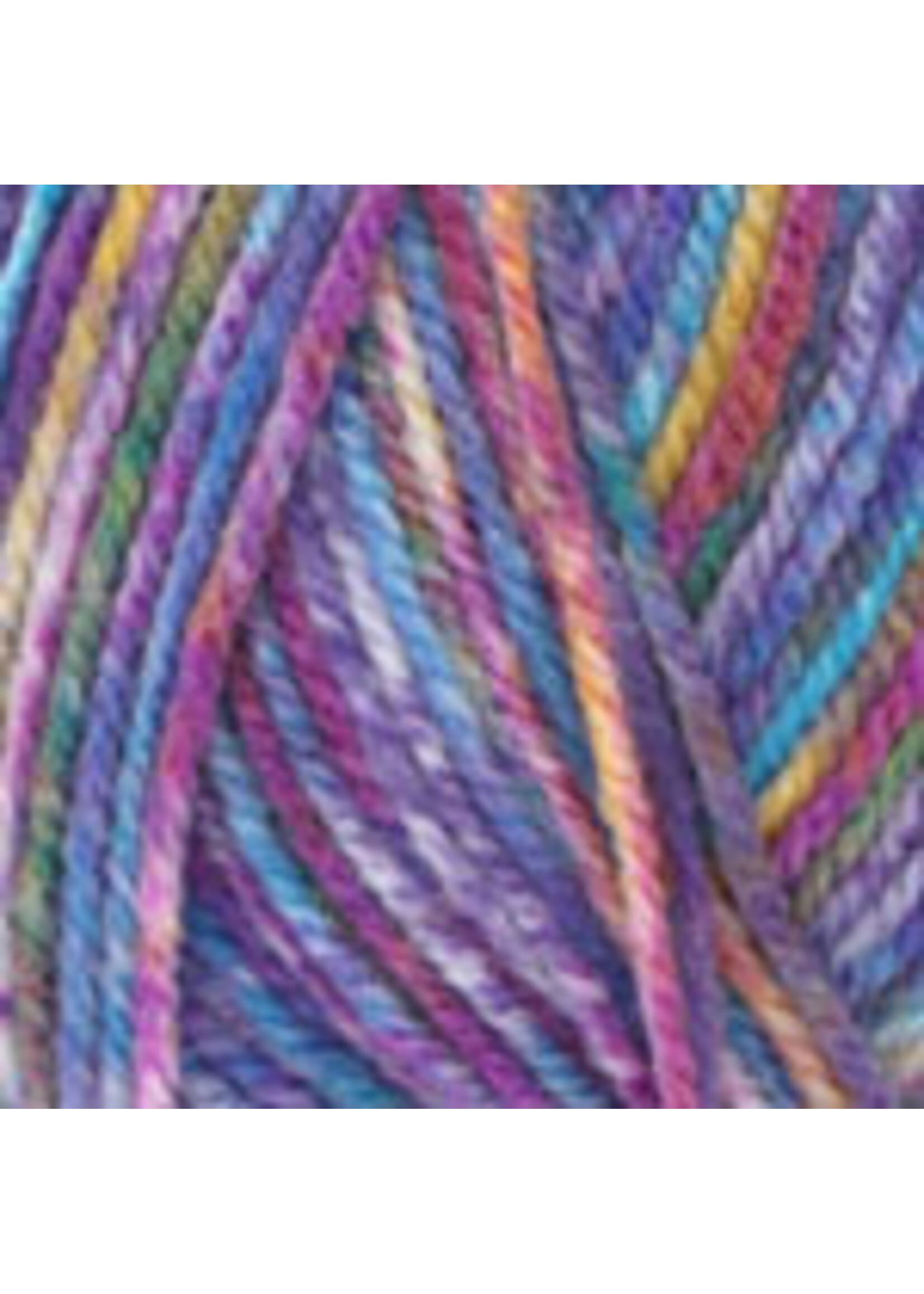 Plymouth Yarns Encore Worsted Colorspun