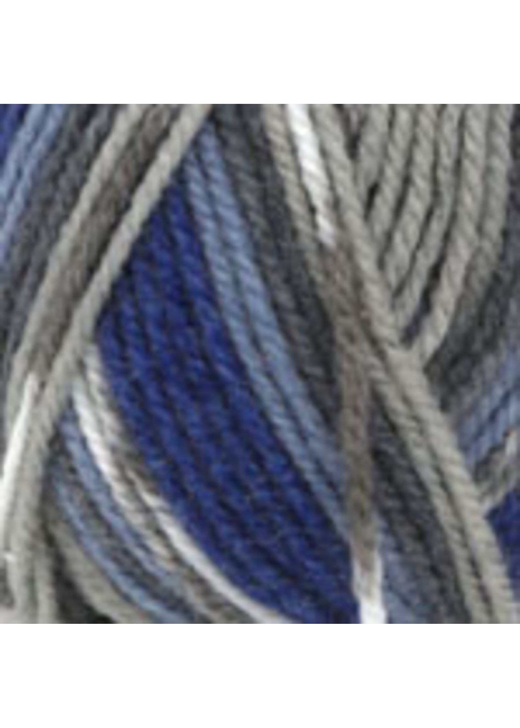 Plymouth Yarns Encore Worsted Colorspun