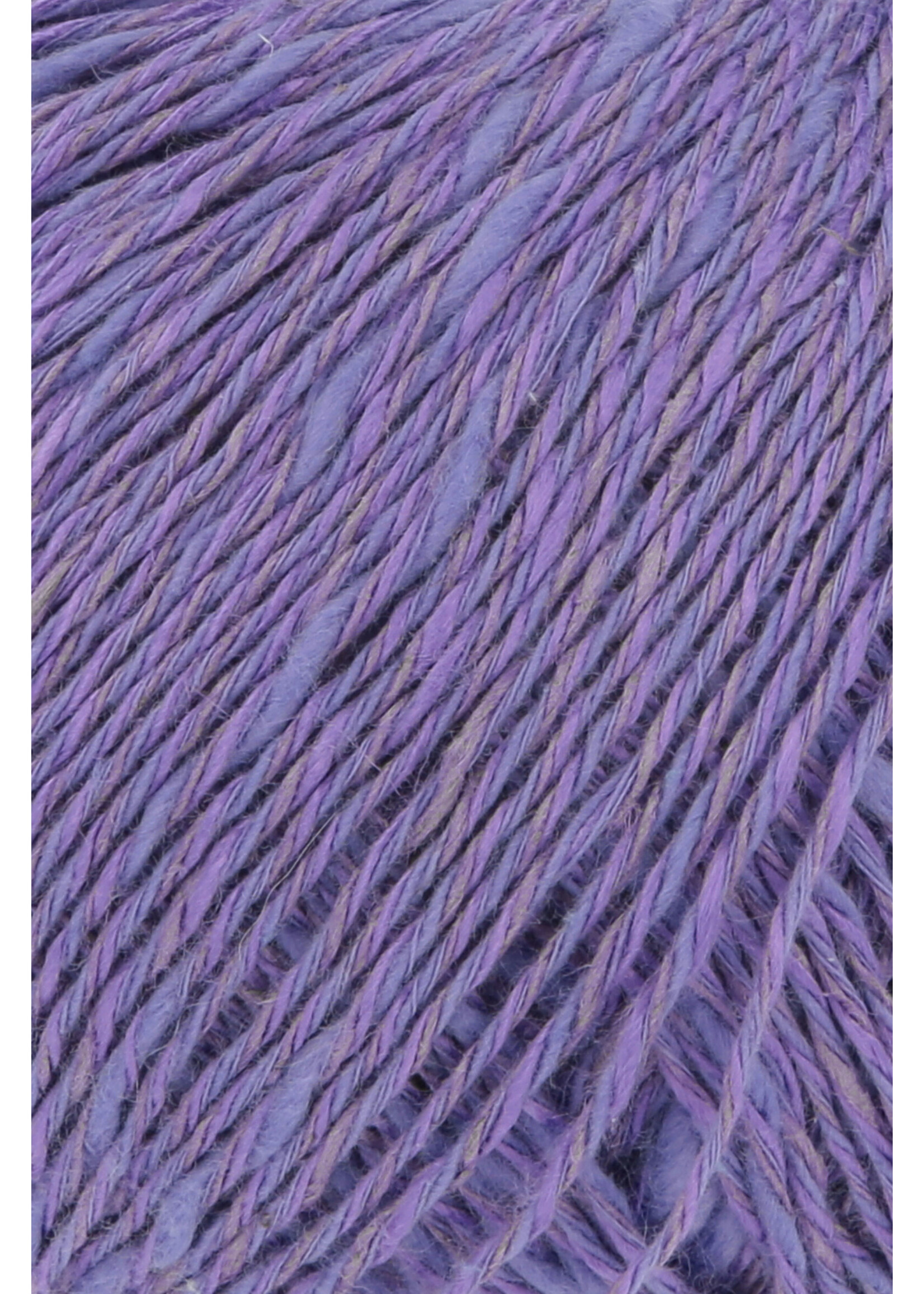 Wool Addicts Pride