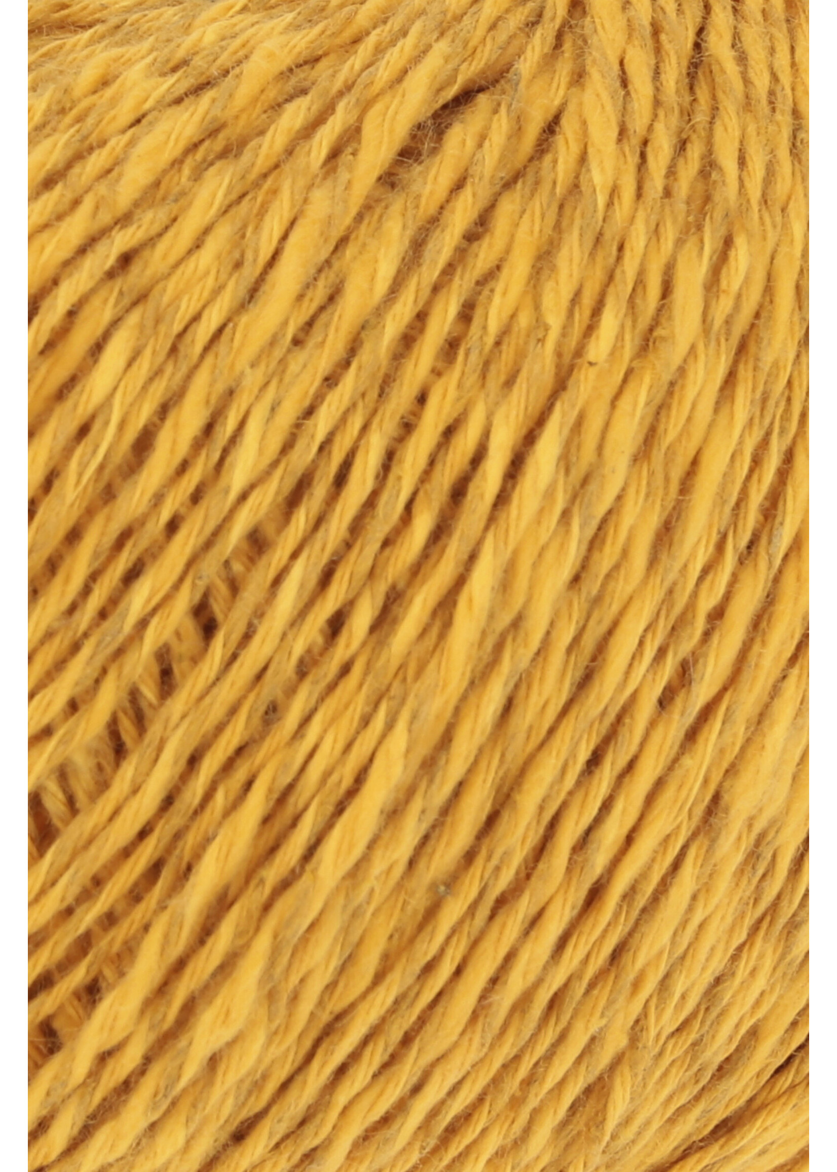 Wool Addicts Pride