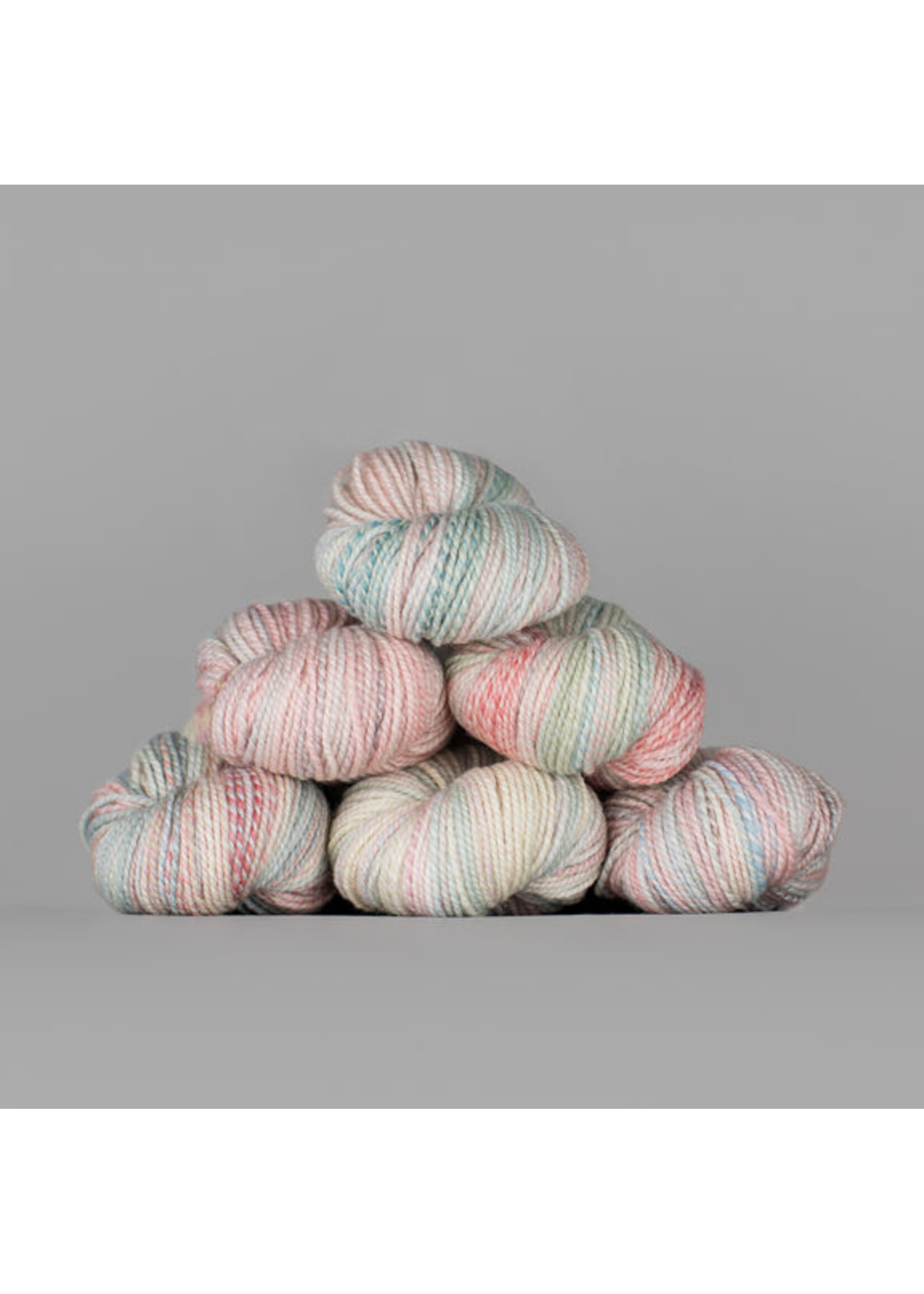 Spincycle Yarns Dyed In The Wool