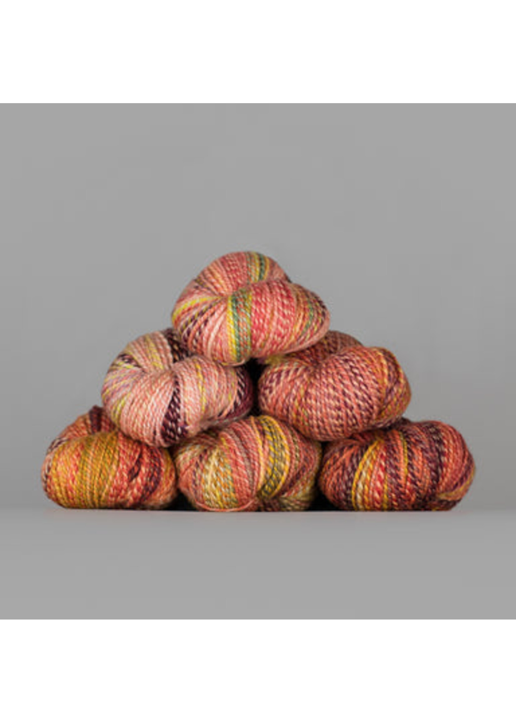 Spincycle Yarns Dyed In The Wool