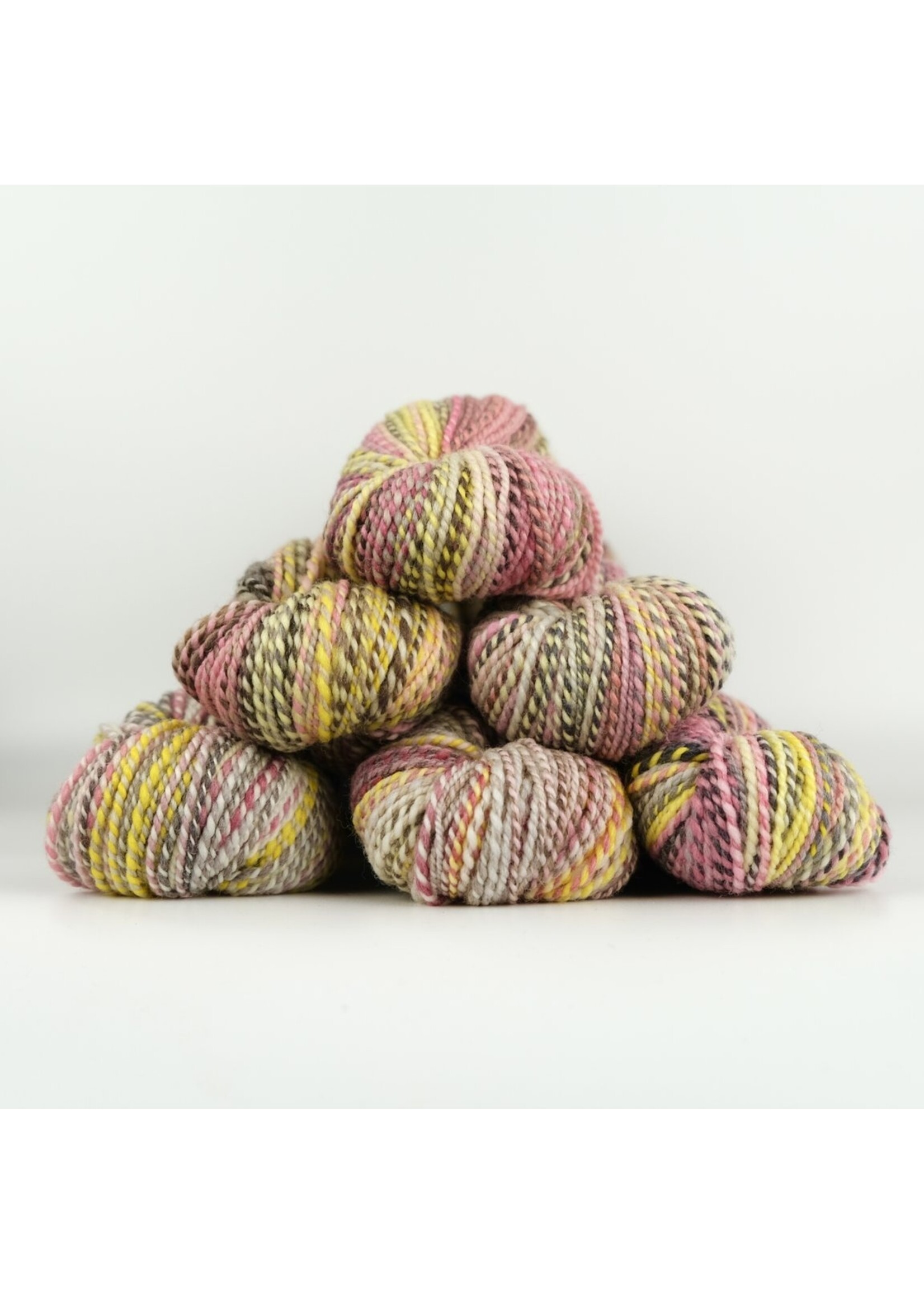 Spincycle Yarns Dyed In The Wool