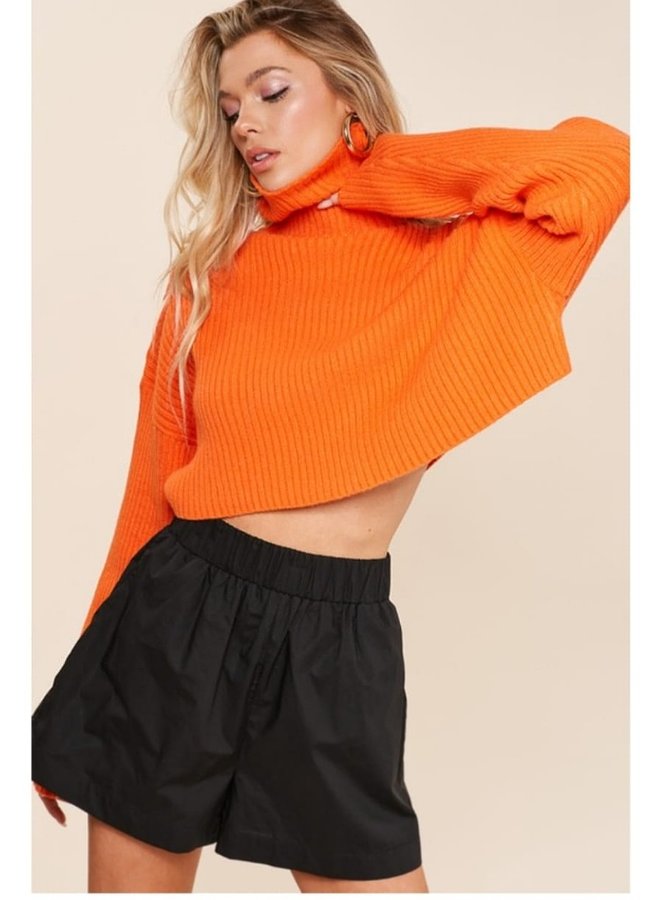 Cropped Spring Sweater