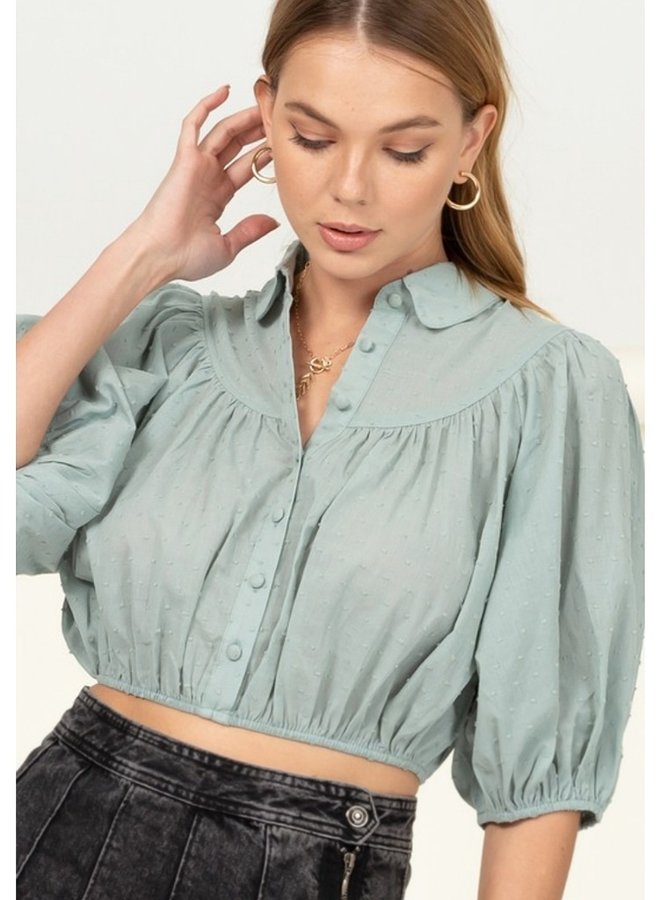 Puff sleeve button down blouse