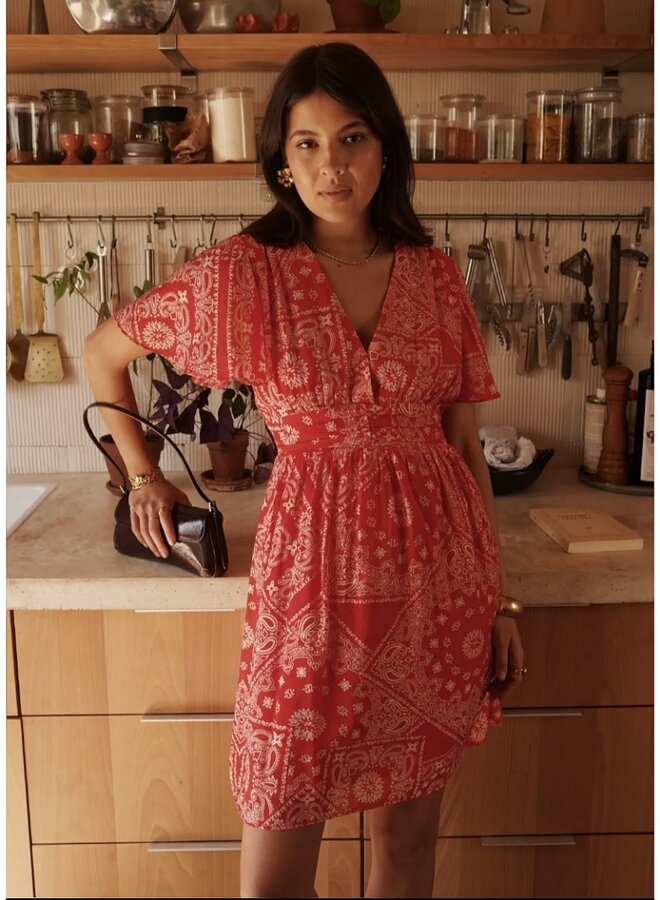 Paisley print flutter sleeve dress