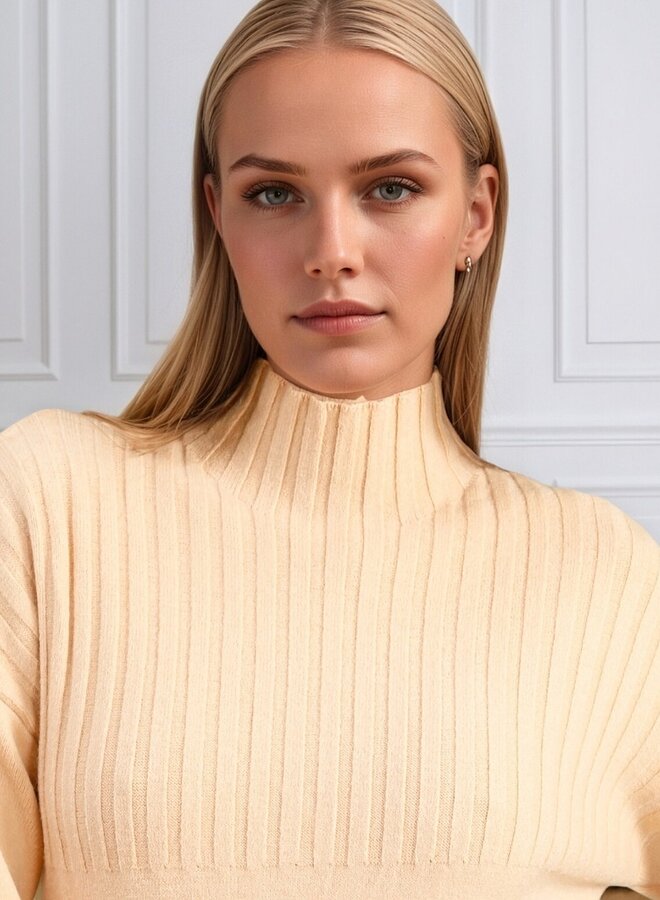 Elegant ribbed sweater dress