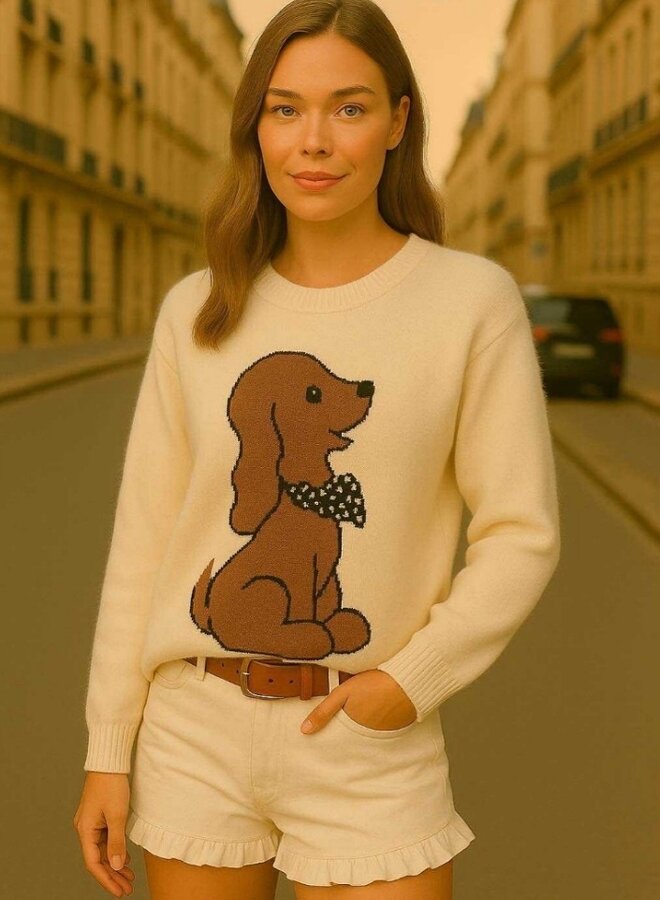 Chic doggie sweater