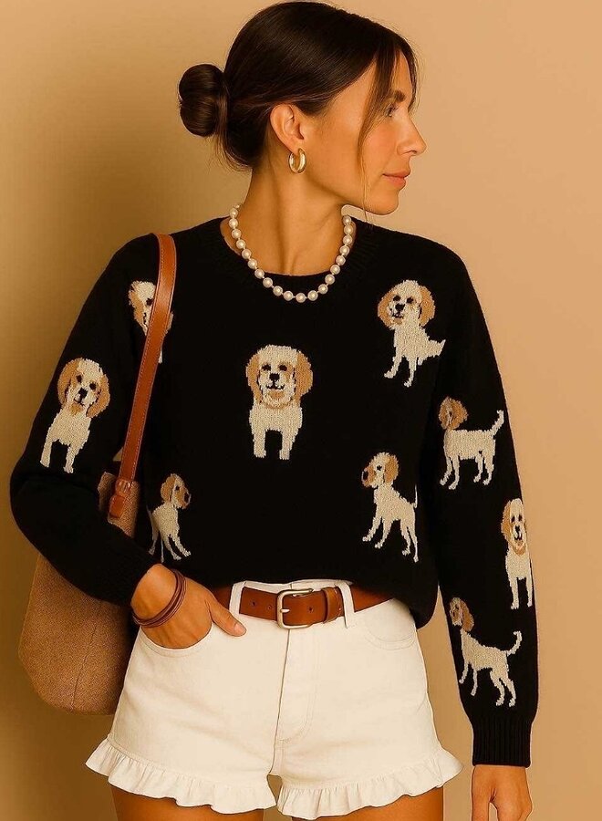 Pull Dog Parade  sweater