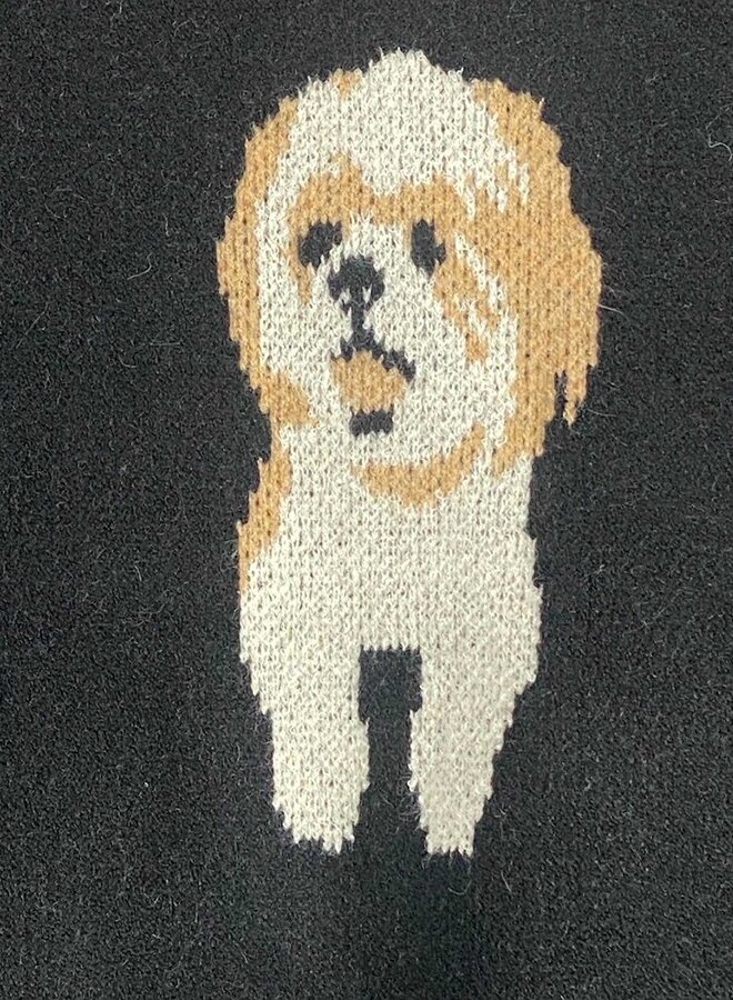 Pull Dog Parade  sweater