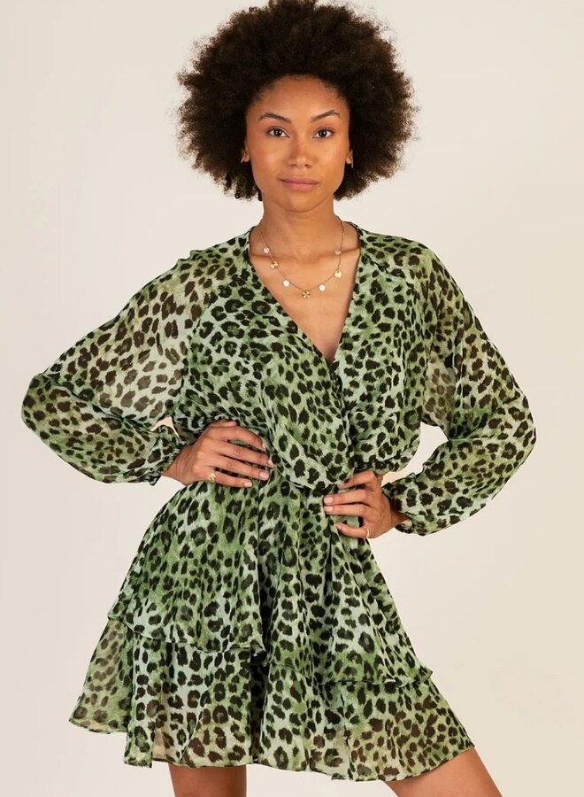 Animal print long sleeve dress