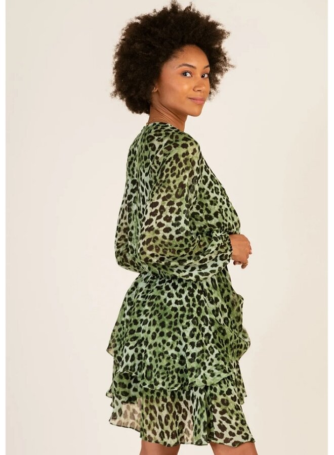 Animal print long sleeve dress
