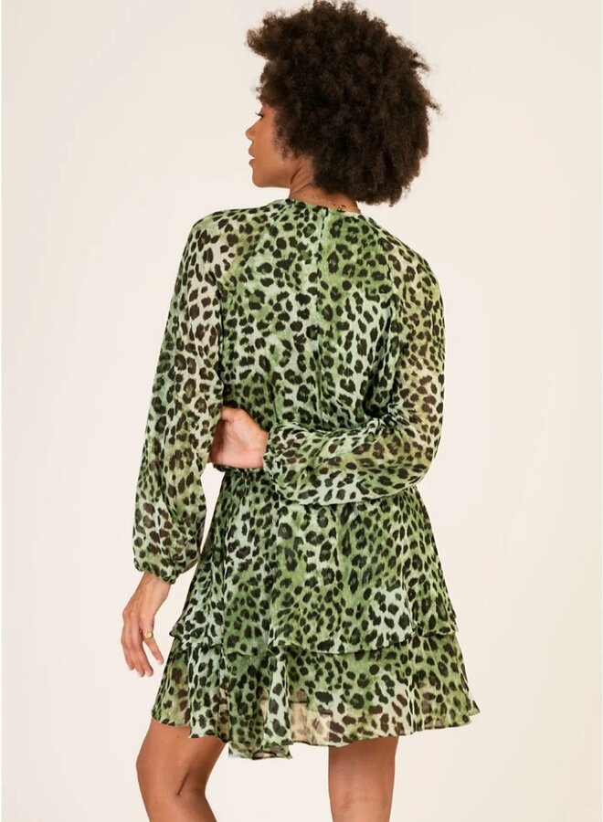 Animal print long sleeve dress