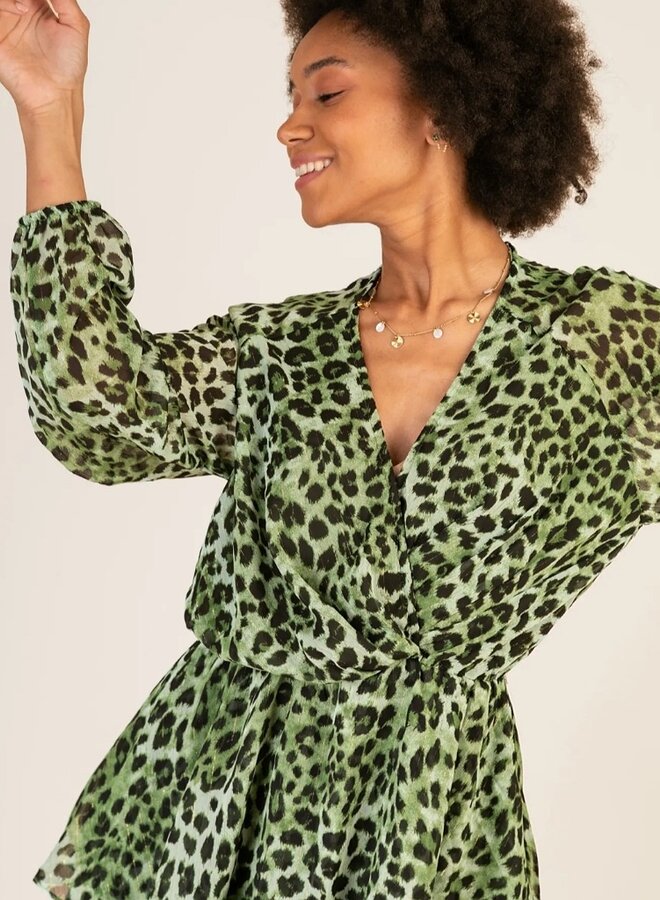 Animal print long sleeve dress