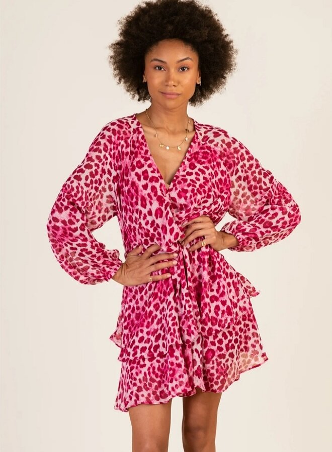 Animal print long sleeve dress